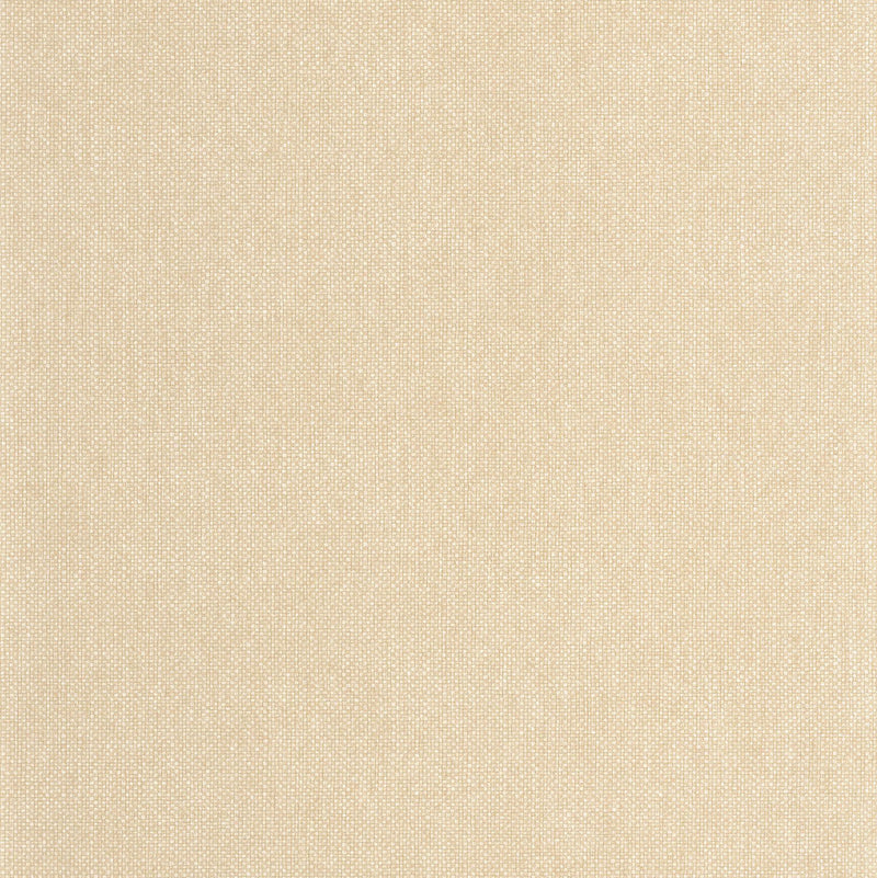 104991021 Uni Mat Ecru Damier Wallpaper by Caselio