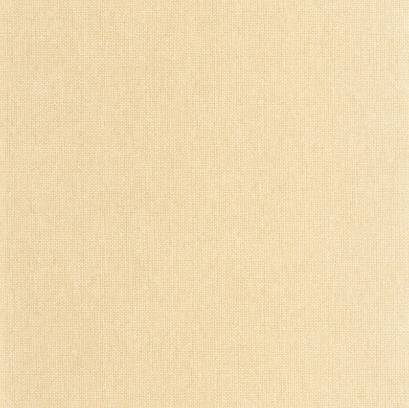 104991796 Uni Mat Noisette Damier Wallpaper by Caselio