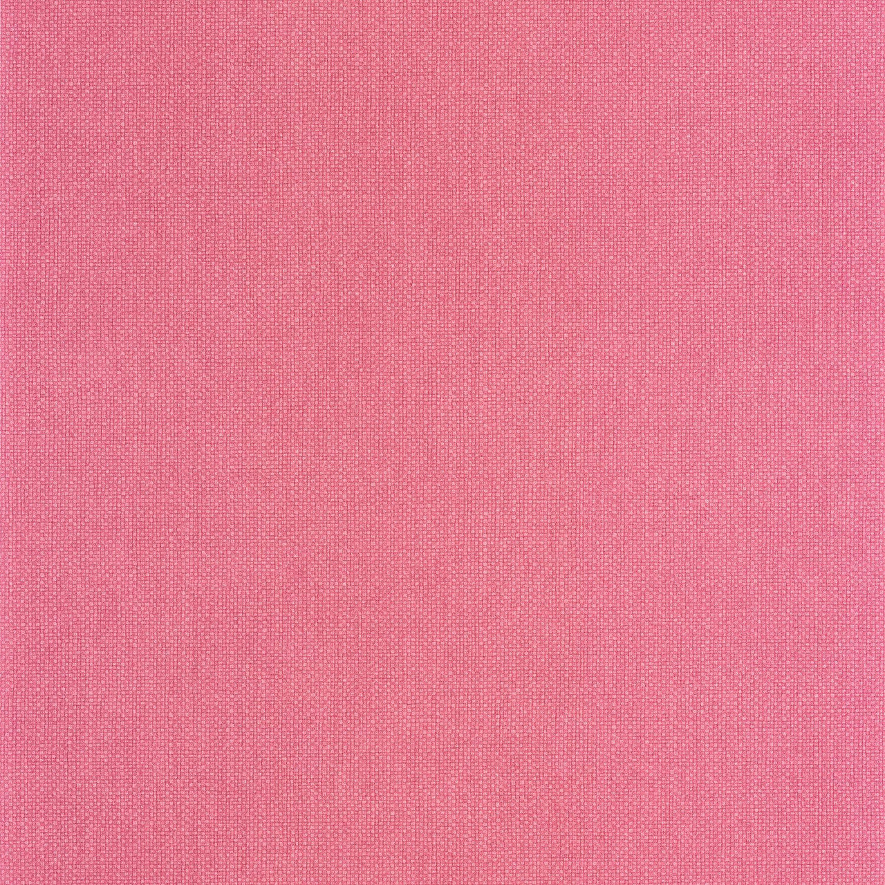 WILD104994003 Uni Mat Wild Wallpaper by Caselio