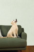 104997013 Uni Mat Vert Amande Damier Wallpaper by Caselio