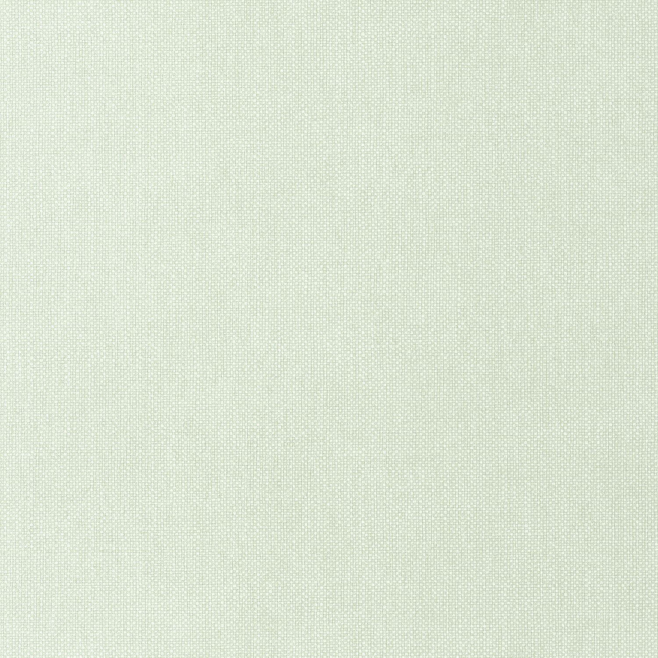 WILD104997013 Uni Mat Wild Wallpaper by Caselio