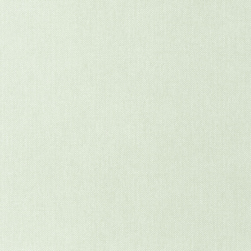 WILD104997013 Uni Mat Wild Wallpaper by Caselio