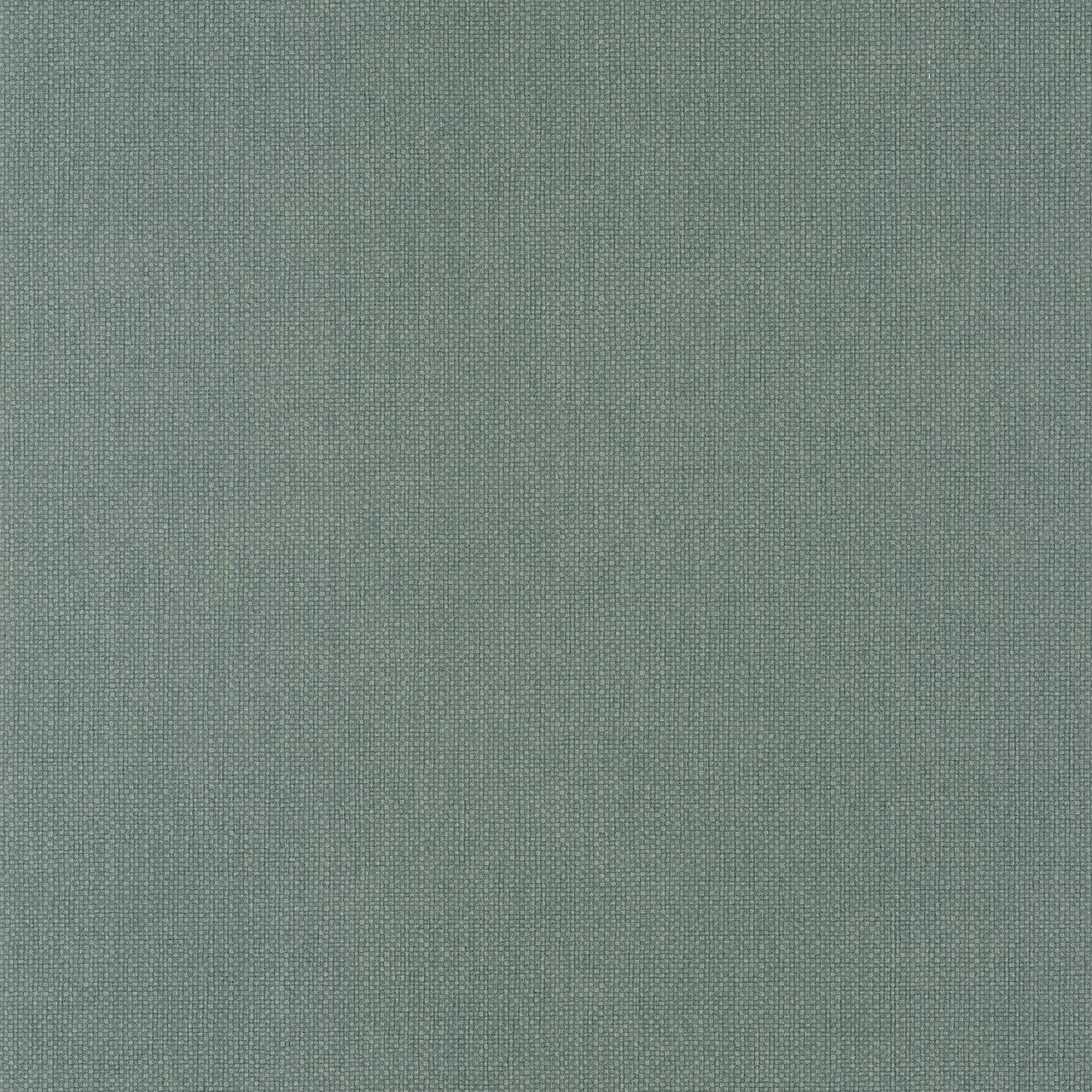 WILD104997312 Uni Mat Wild Wallpaper by Caselio