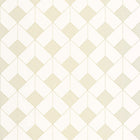 OTLS105090245 Square Outlines Wallpaper by Caselio