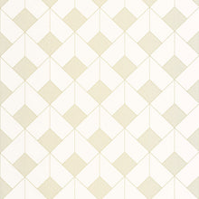 OTLS105090245 Square Outlines Wallpaper by Caselio