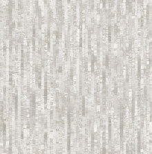 105106 Betula Balance Wallpaper by Graham and Brown