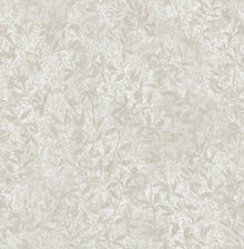 105115 Botany Floriculture Wallpaper by Graham and Brown