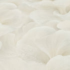 10527-02 Floral Glow Beige Fashion For Walls 5 Wallpaper by Erismann