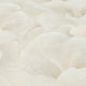 Floral Glow Beige Fashion For Walls 5 Wallpaper by Erismann