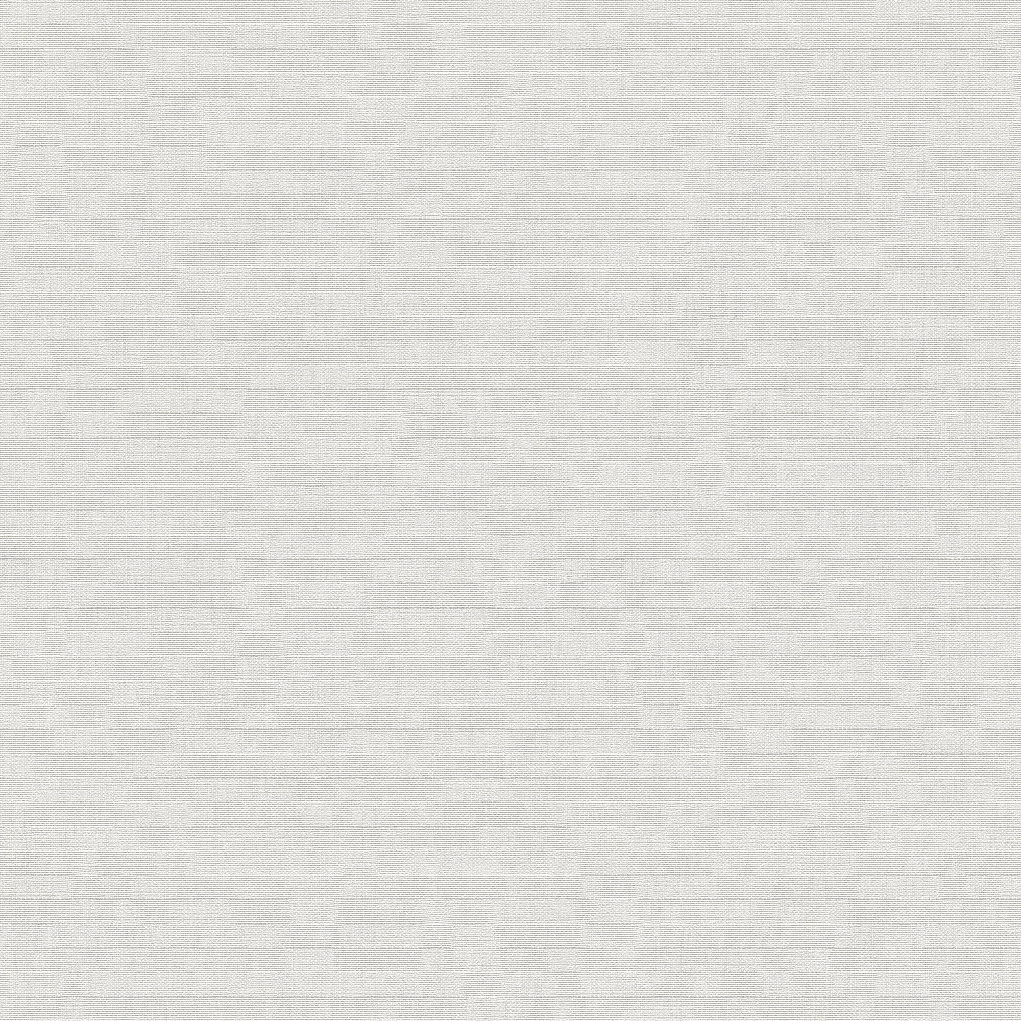 10539-14 Aurora Plain Cream Wallpaper by Erismann