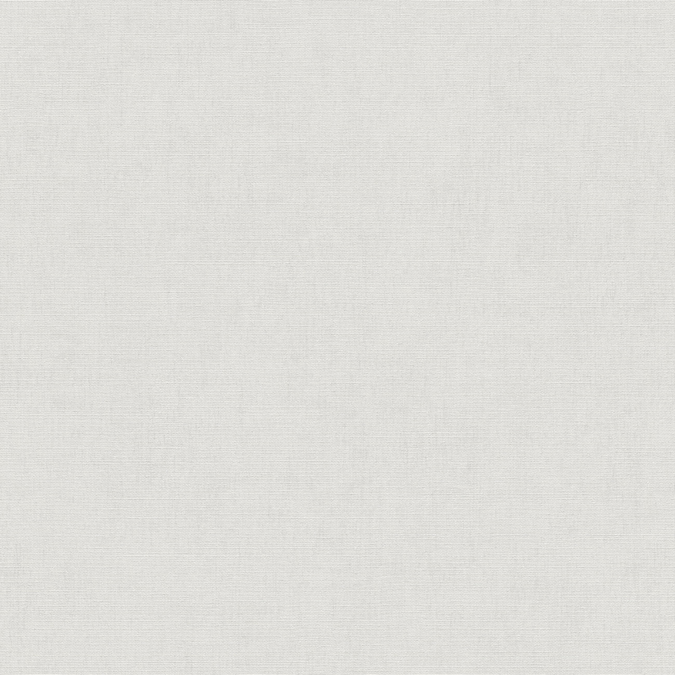 10539-14 Aurora Plain Cream Wallpaper by Erismann