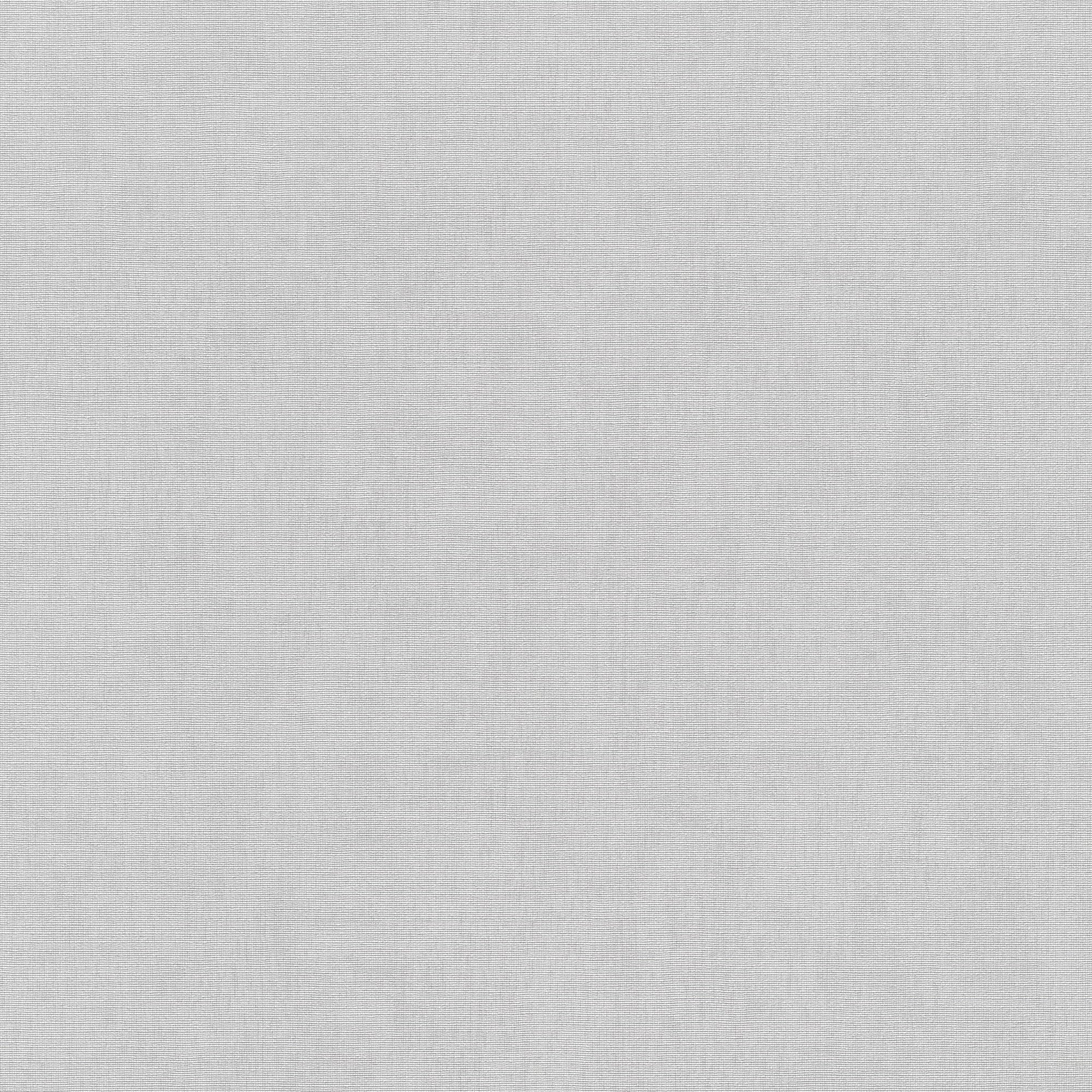 10539-31 Aurora Plain Light Grey Wallpaper by Erismann