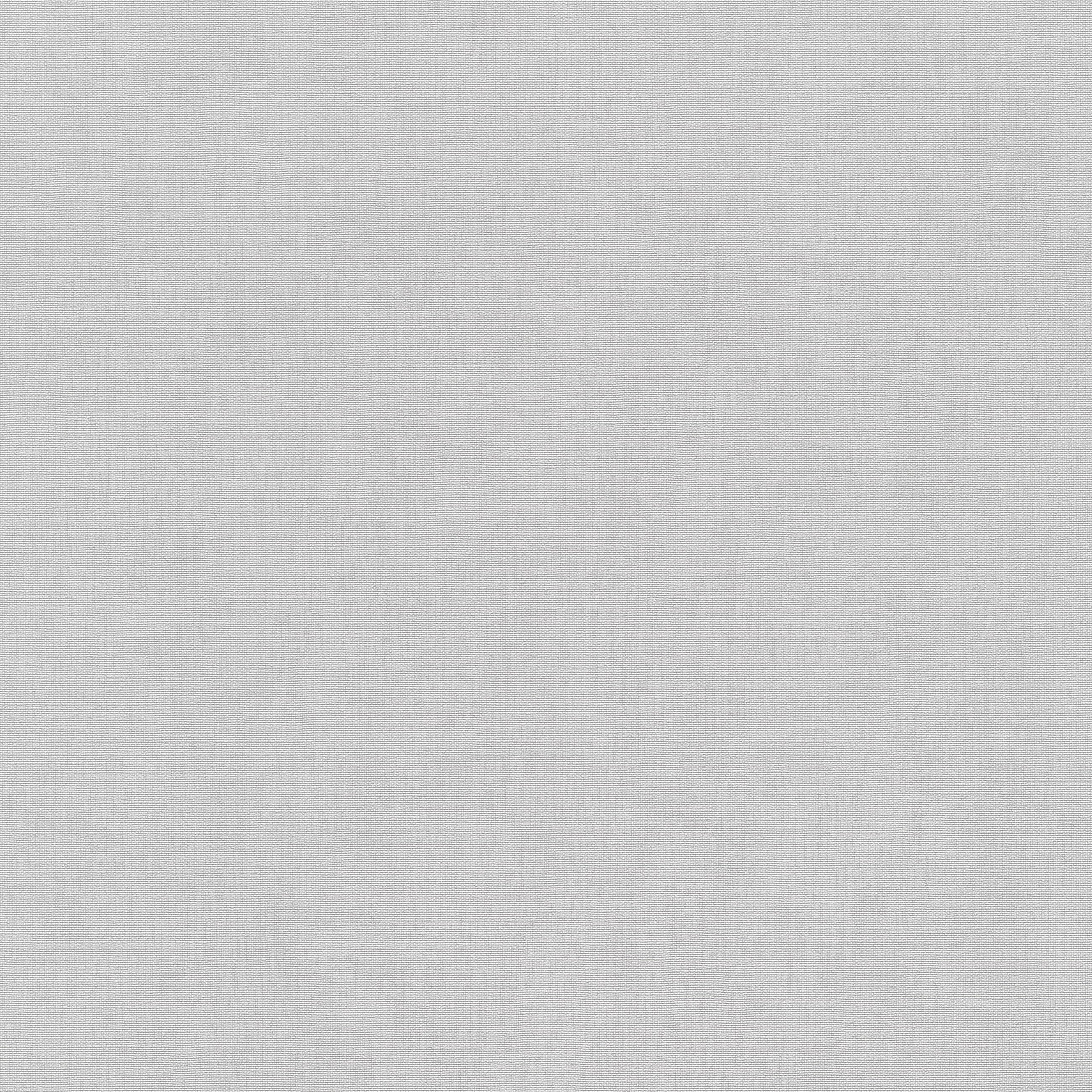 10539-31 Aurora Plain Light Grey Wallpaper by Erismann