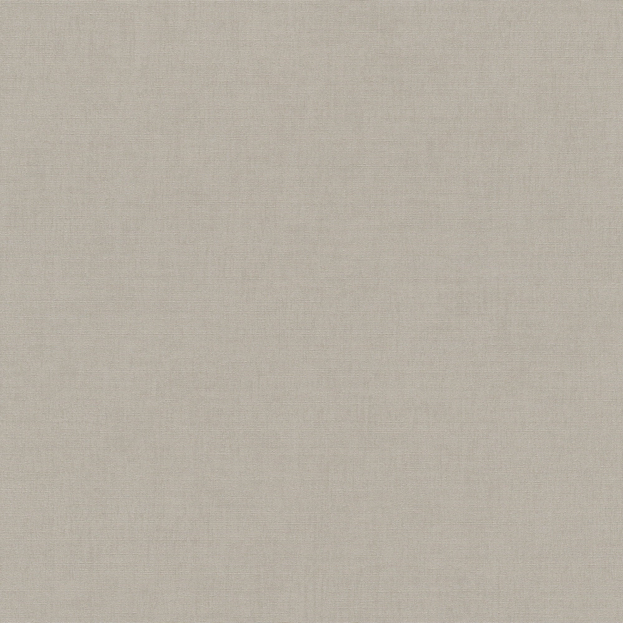 10539-38 Aurora  Plain Light Taupe Wallpaper by Erismann
