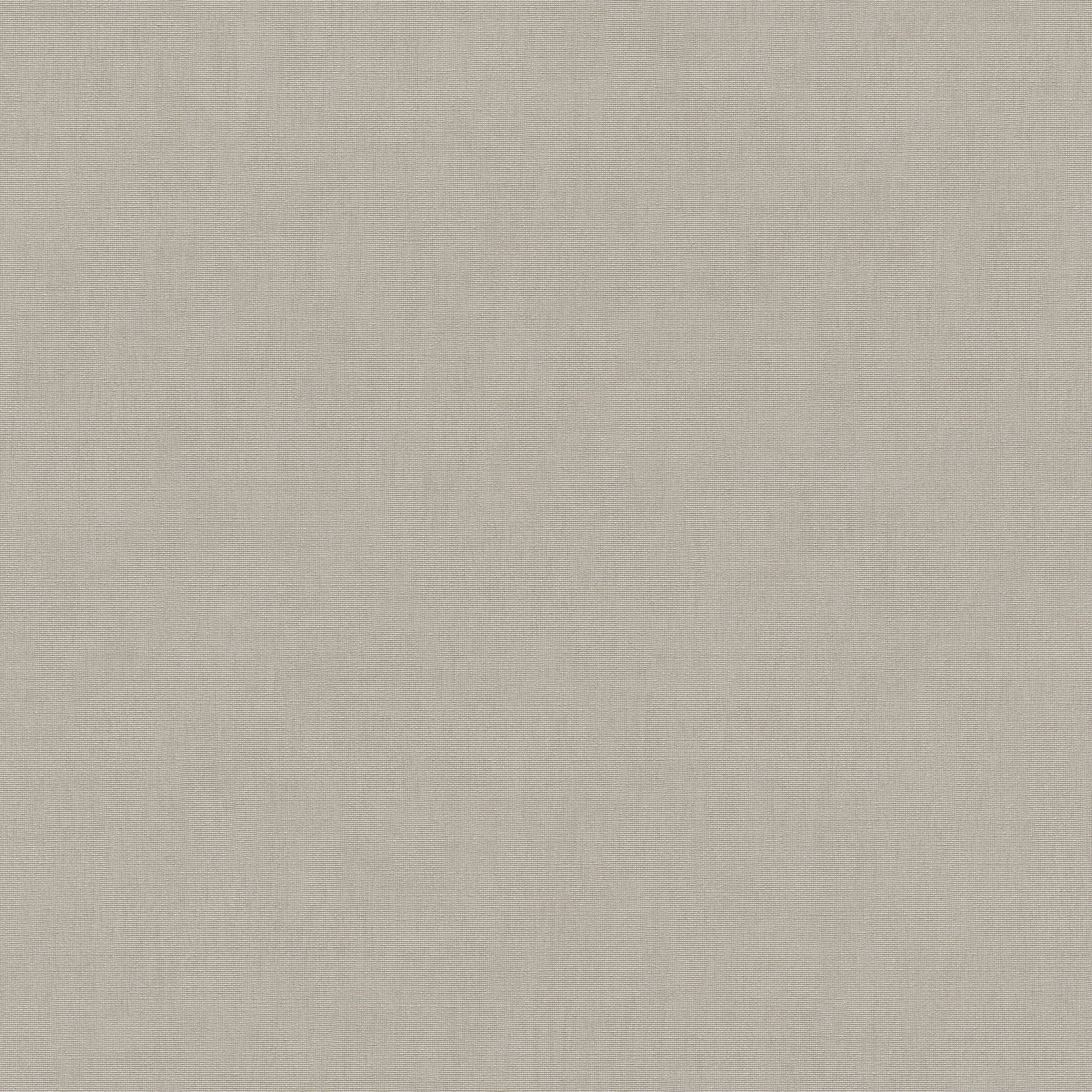 10539-38 Aurora  Plain Light Taupe Wallpaper by Erismann