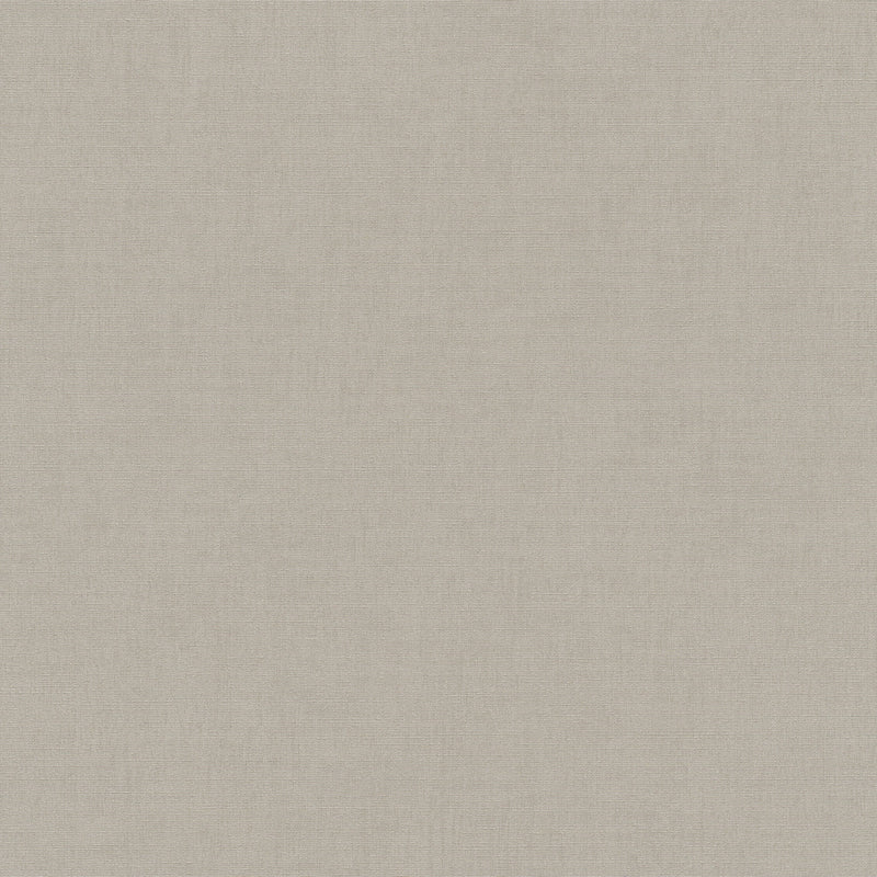 10539-38 Aurora  Plain Light Taupe Wallpaper by Erismann