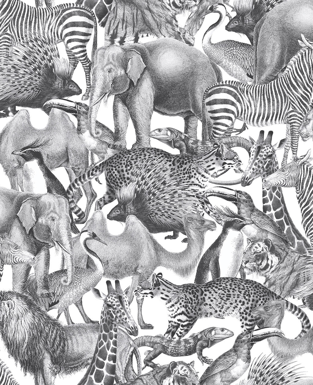 105474 Kingdom Curiosity Wallpaper by Graham and Brown