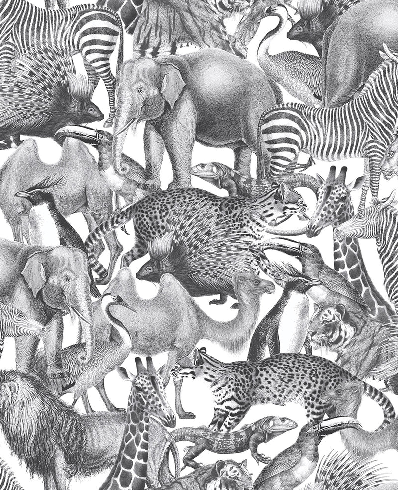 105474 Kingdom Curiosity Wallpaper by Graham and Brown