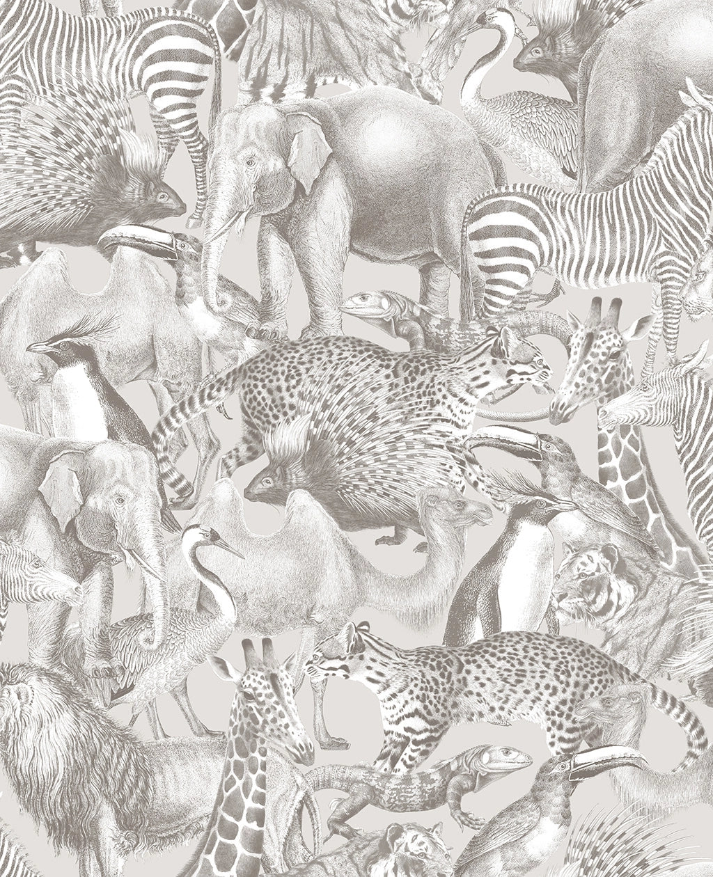 105477 Kingdom Curiosity Wallpaper by Graham and Brown