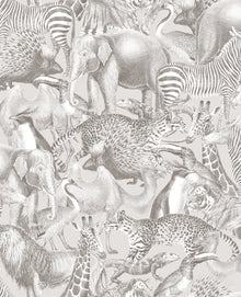 105477 Kingdom Curiosity Wallpaper by Graham and Brown