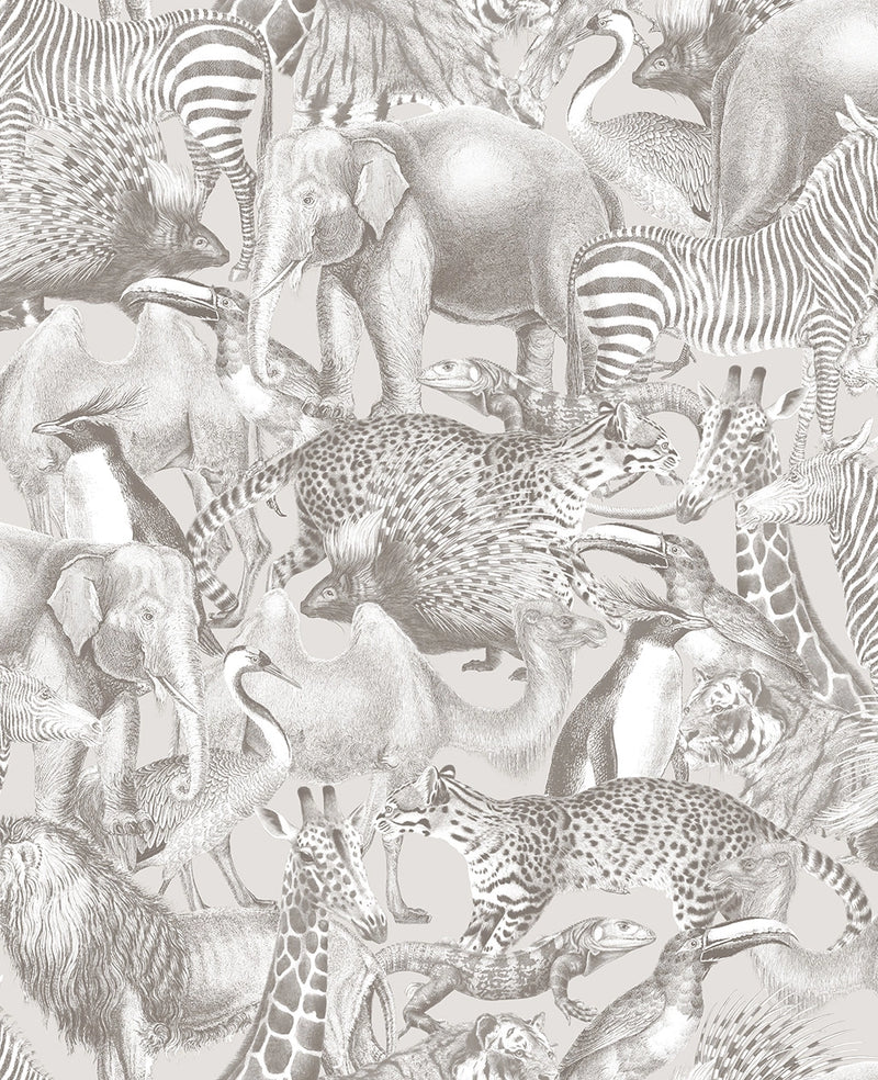 105477 Kingdom Curiosity Wallpaper by Graham and Brown