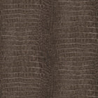 10560-11 Wild Lagoon Brown Forest Dreams Wallpaper by Erismann