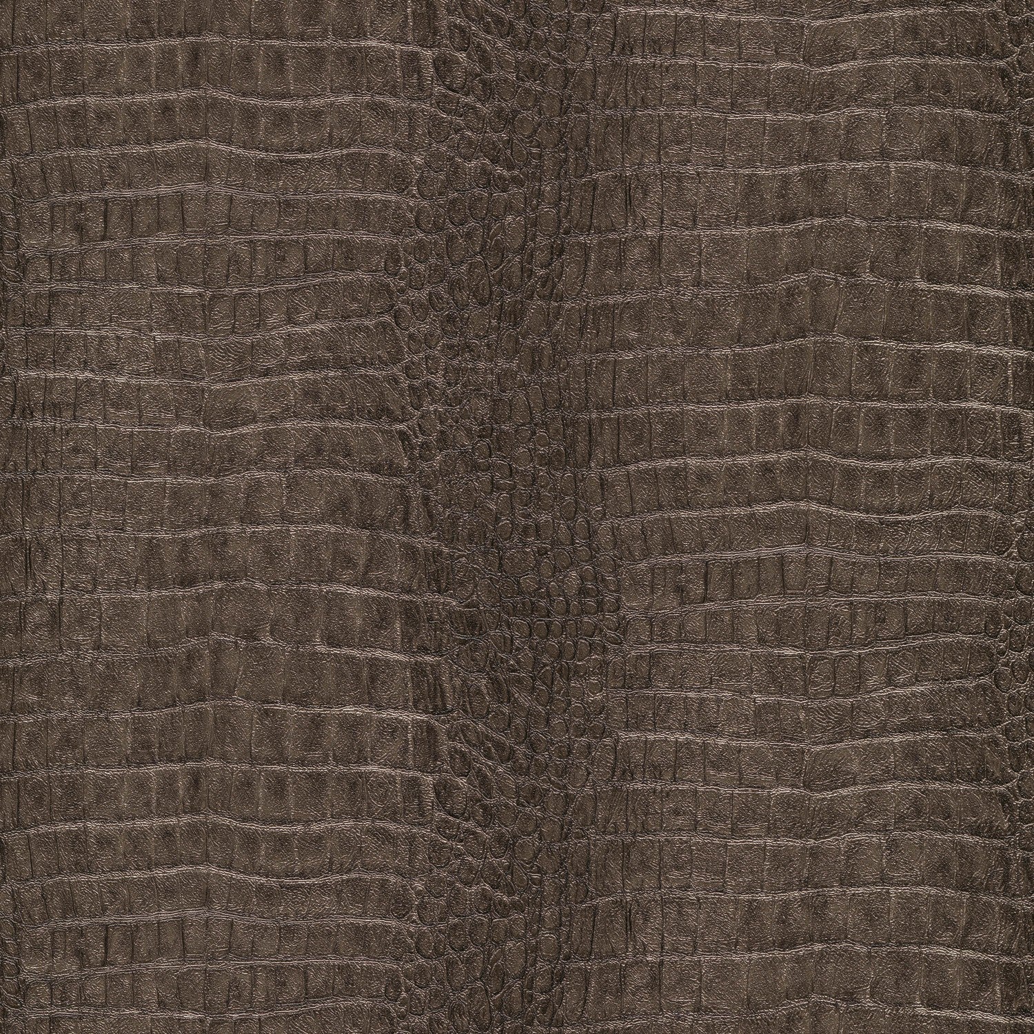 10560-11 Wild Lagoon Brown Forest Dreams Wallpaper by Erismann