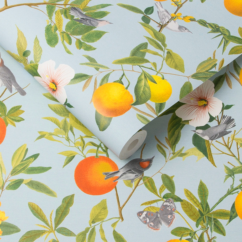 105640 Amalfi Cielo Curiosity Wallpaper by Graham and Brown