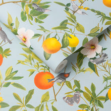 105640 Amalfi Cielo Curiosity Wallpaper by Graham and Brown