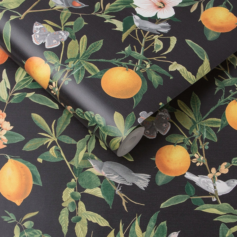 105642 Amalfi Umore Curiosity Wallpaper by Graham and Brown