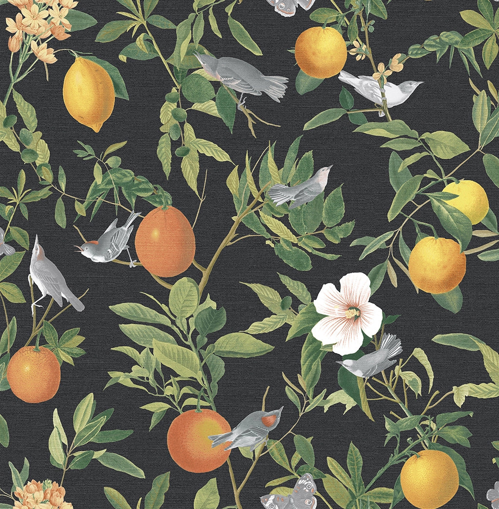 105642 Amalfi Umore Curiosity Wallpaper by Graham and Brown