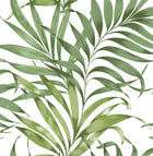 105662 Yasuni Hybrid Wallpaper by Graham and Brown