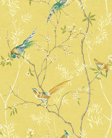 105769 Tori Blossom Hybrid Wallpaper by Graham and Brown