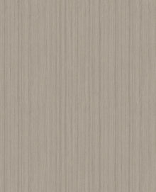 105866 Silk Minimalist Wallpaper by Graham and Brown
