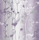 Wildflower Floriculture Wallpaper by Graham and Brown