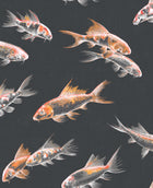 105911 Flow Black Curiosity Wallpaper by Graham and Brown