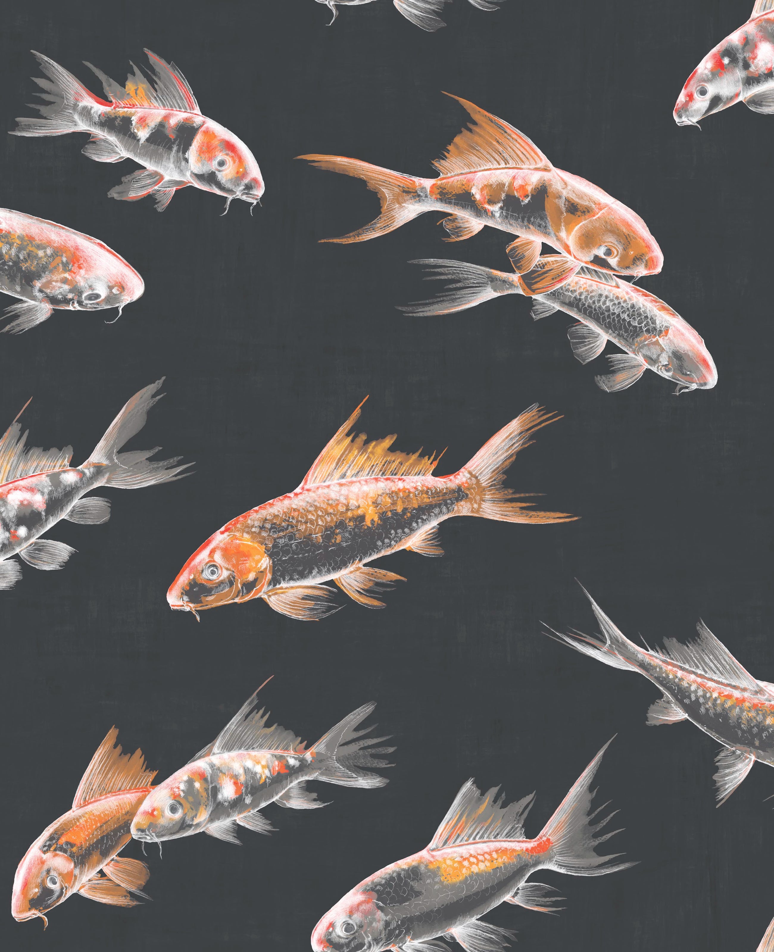 105911 Flow Black Curiosity Wallpaper by Graham and Brown