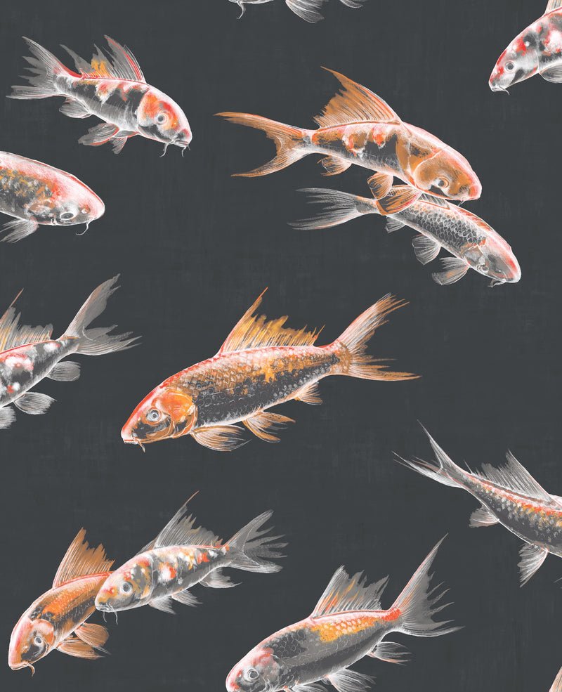 105911 Flow Black Curiosity Wallpaper by Graham and Brown