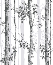 106424 Albero Black & White Curiosity Wallpaper by Graham and Brown