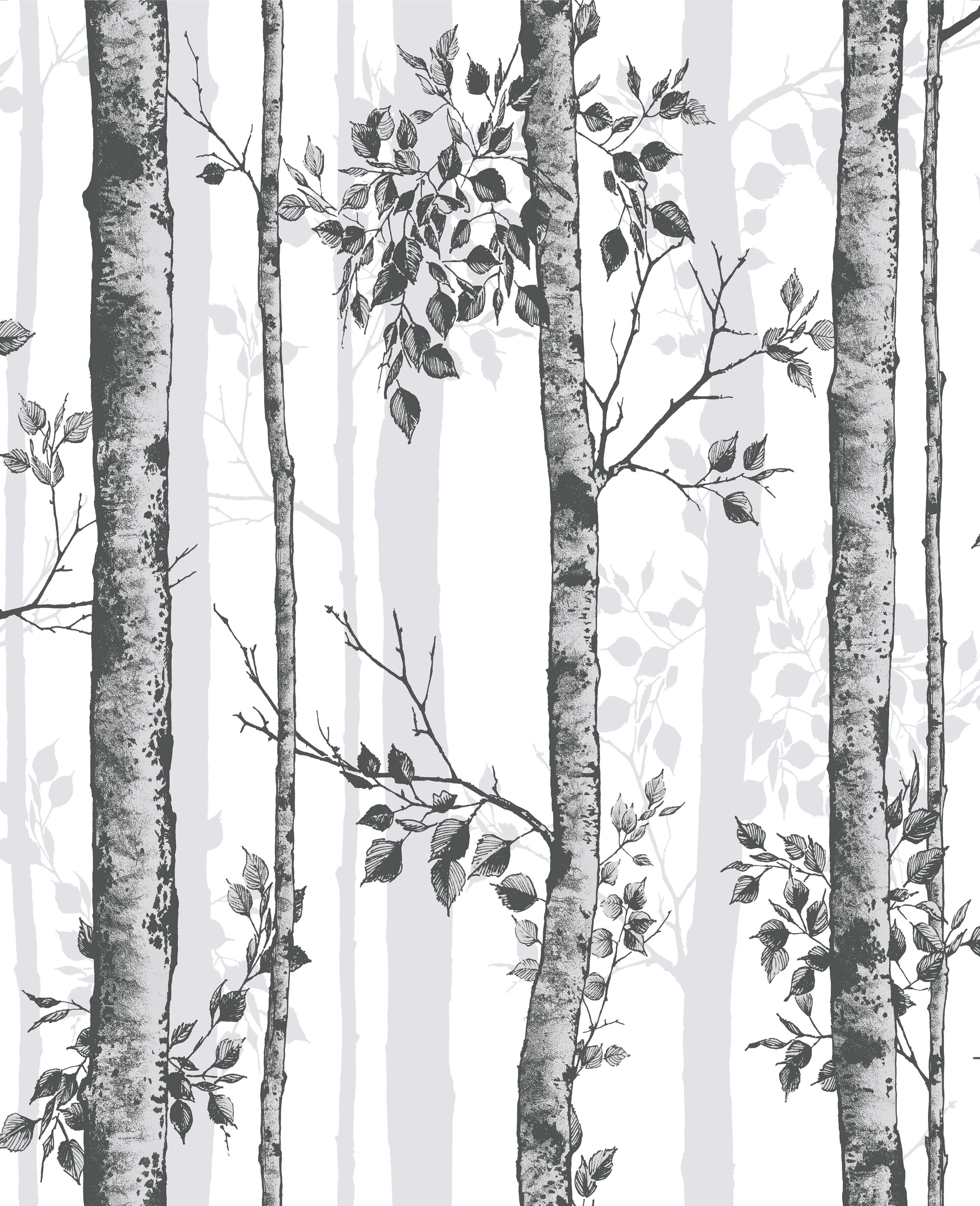 106424 Albero Black & White Curiosity Wallpaper by Graham and Brown