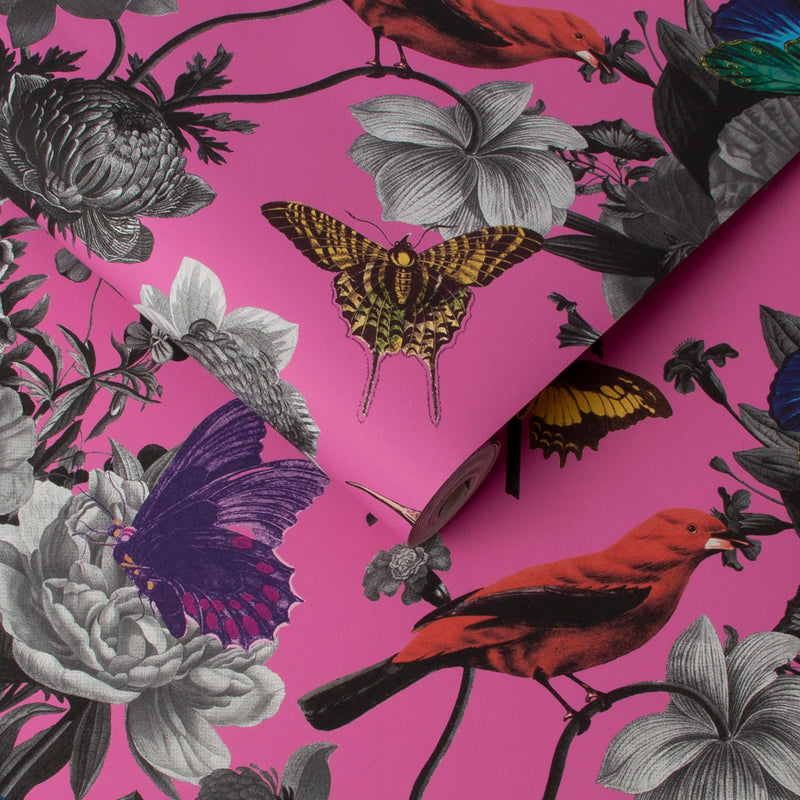 106429 Jardin Magenta Curiosity Wallpaper by Graham and Brown