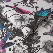 106430 Jardin Grey Curiosity Wallpaper by Graham and Brown