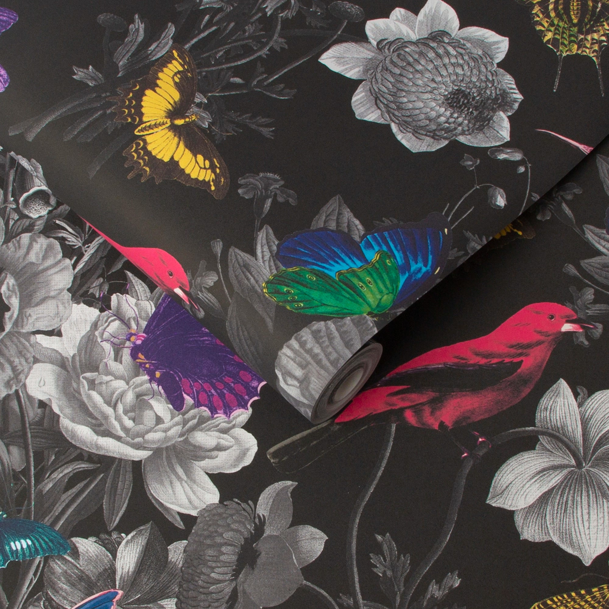 106431 Jardin Black Curiosity Wallpaper by Graham and Brown