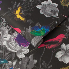 106431 Jardin Black Curiosity Wallpaper by Graham and Brown