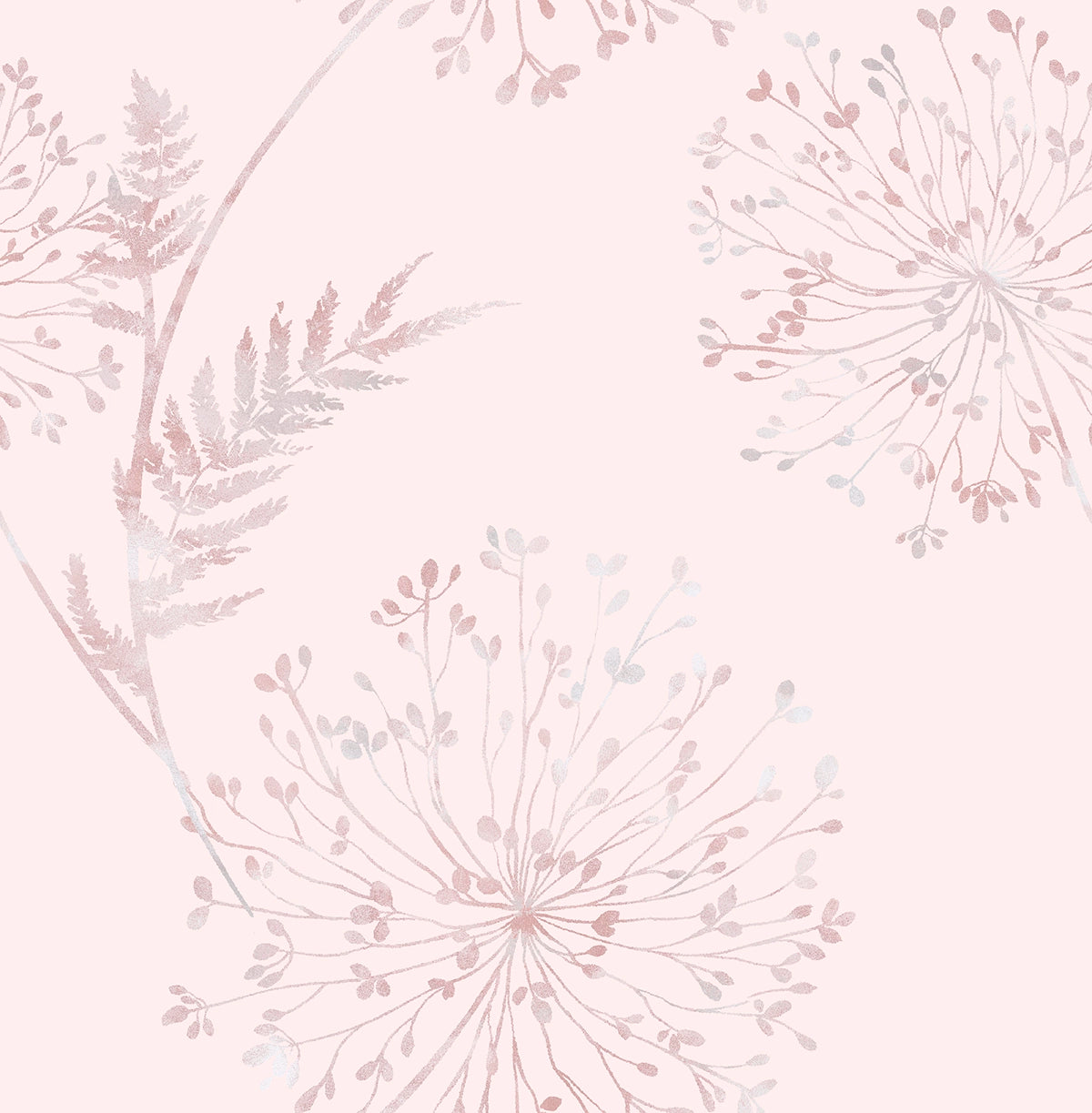 106435 Wish Blush Floriculture Wallpaper by Graham and Brown