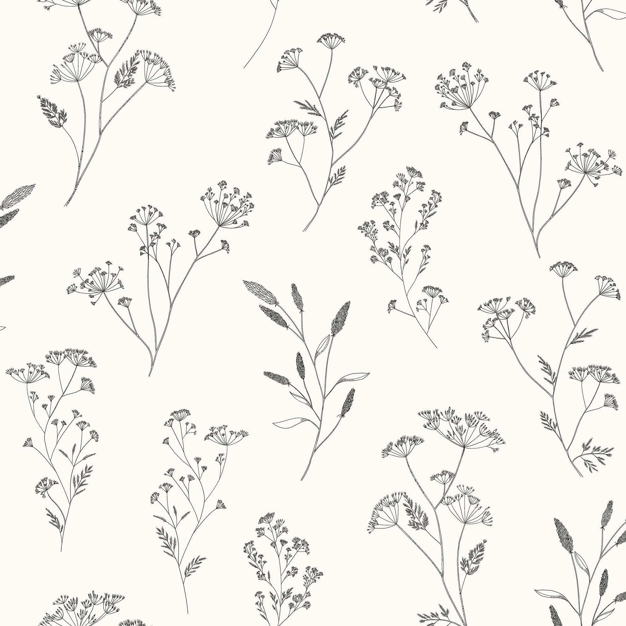 106680928 Little Graminea Noir Blanc Wallpaper by Caselio