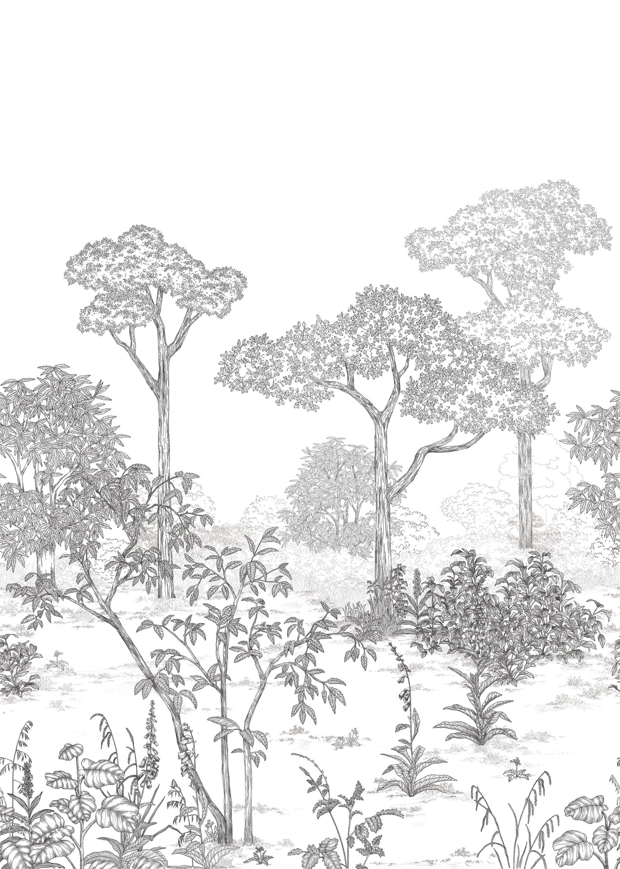 106690903 Arboretum Noir Blanc Mural by Caselio