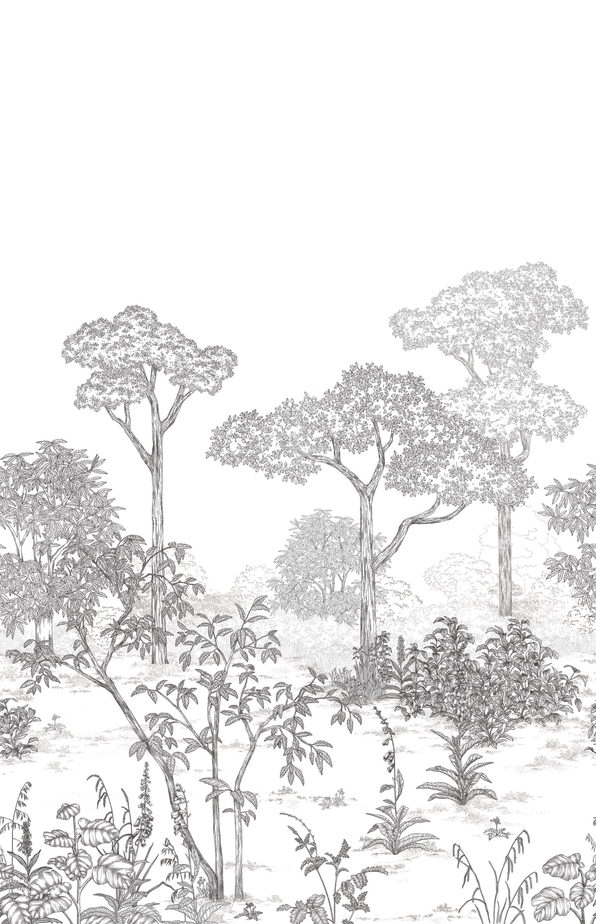 106690904 Arboretum Noir Blanc Mural by Caselio