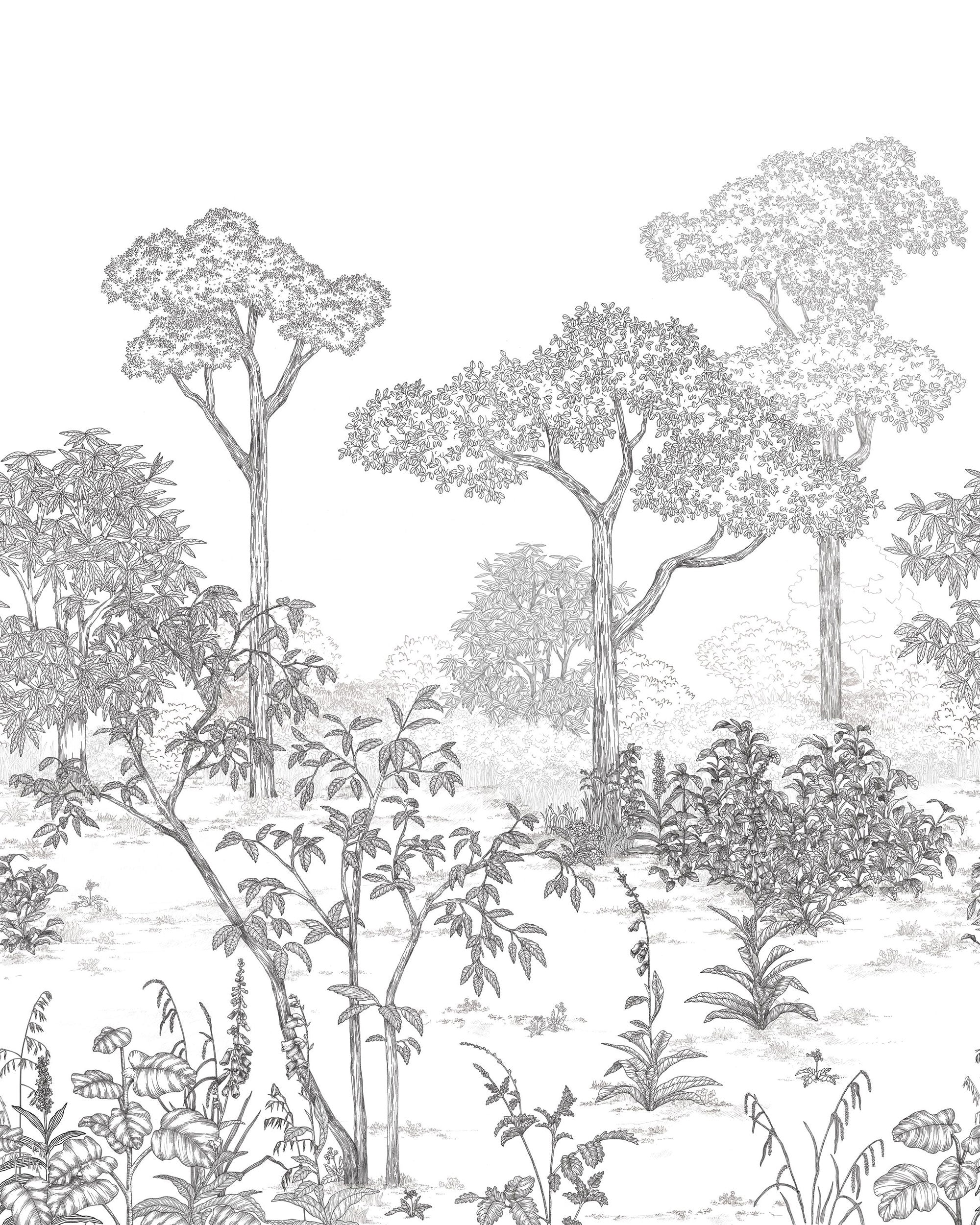 106690905 Arboretum Noir Blanc Mural by Caselio