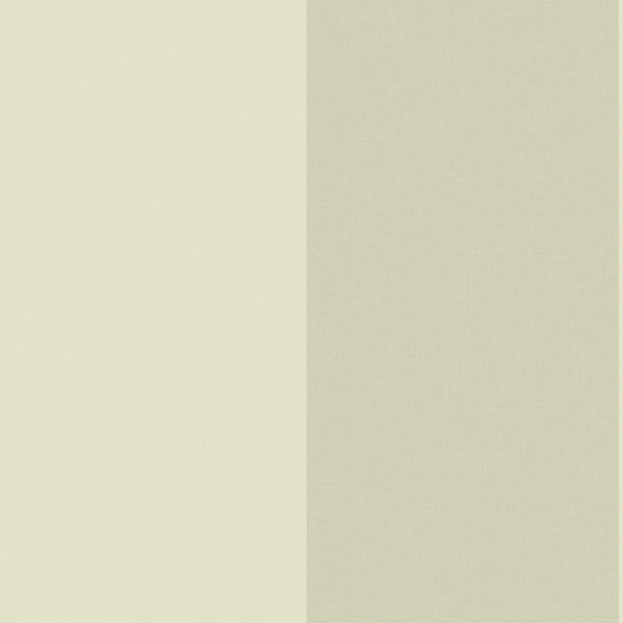 106727001 Xxl Lines Vert Amande Wallpaper by Caselio